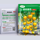 Semillas de Tomate Cherry Amarillo. (30 gramos). Pack de Semillas para Jardinería y Huertos.