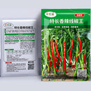 Semillas de Ají Picante Largo chino. (5 gramos). Pack de Semillas de Chile Largo y Picante.