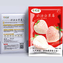 Semillas de Fresa Blanca 200 semillas. Pack de semillas de Frutilla Pinberry para Sembrar Ideal para Jardinería y Huertos.