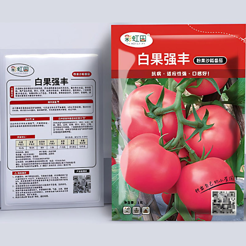 Semillas de Tomate Rosa Chino de Fruto Dulce 1 gramo. Pack de Semillas de para Sembrar Ideal para Jardinería y Huertos.