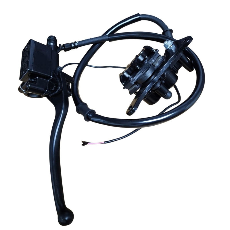 Set de bomba de freno de disco completo (MINNIX150) DISC BRAKE ASSY