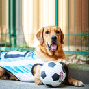 Pelota JUMBALL Blanco Negro Con Asa Para Mascota