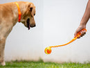 Pelota resistente X-FOAM naranja para mascota