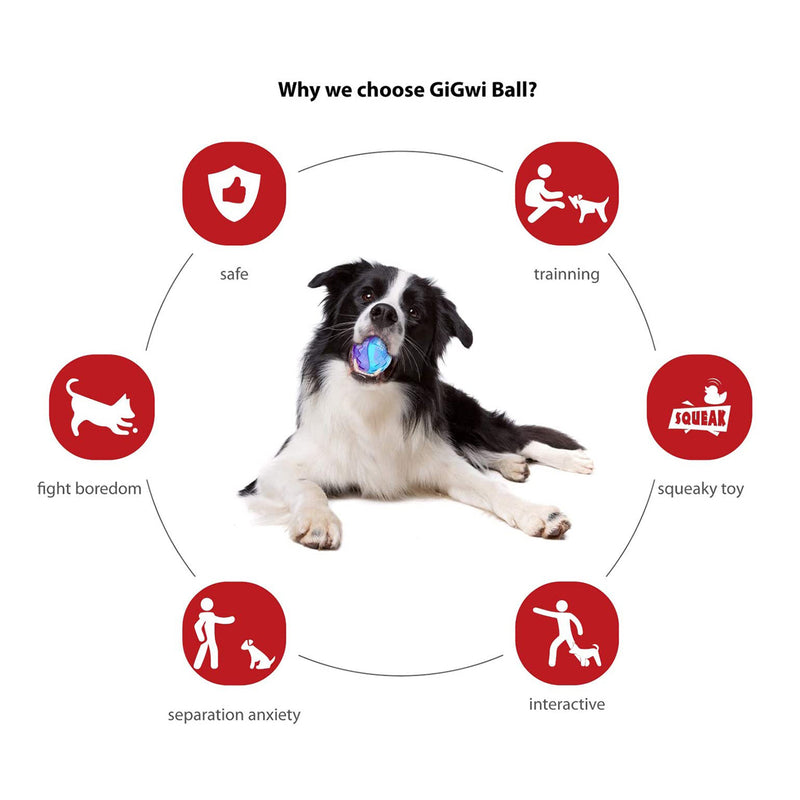 Pelota TPR Azul purpura para mascota M