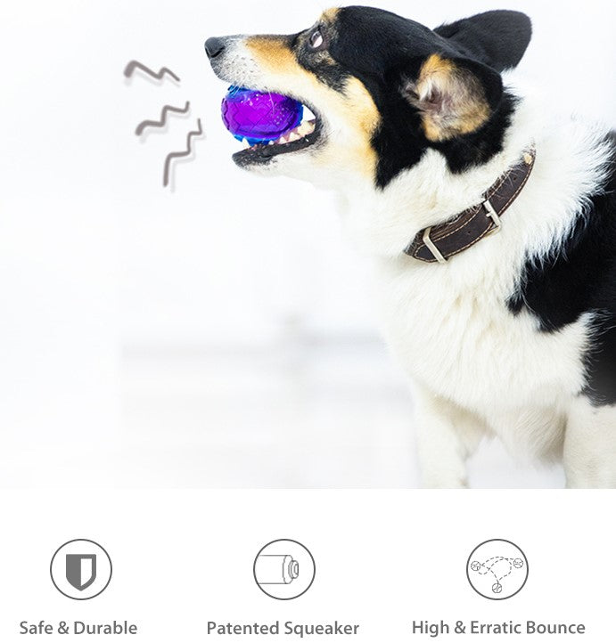 Pelota TPR Roja purpura para mascota Large