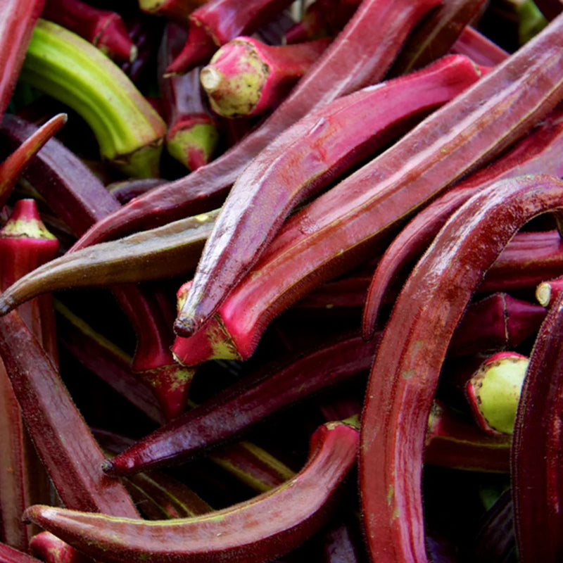 Semillas de Okra Roja Frutal. (5 gramos). Pack de Semillas de Quimbombó Roja.