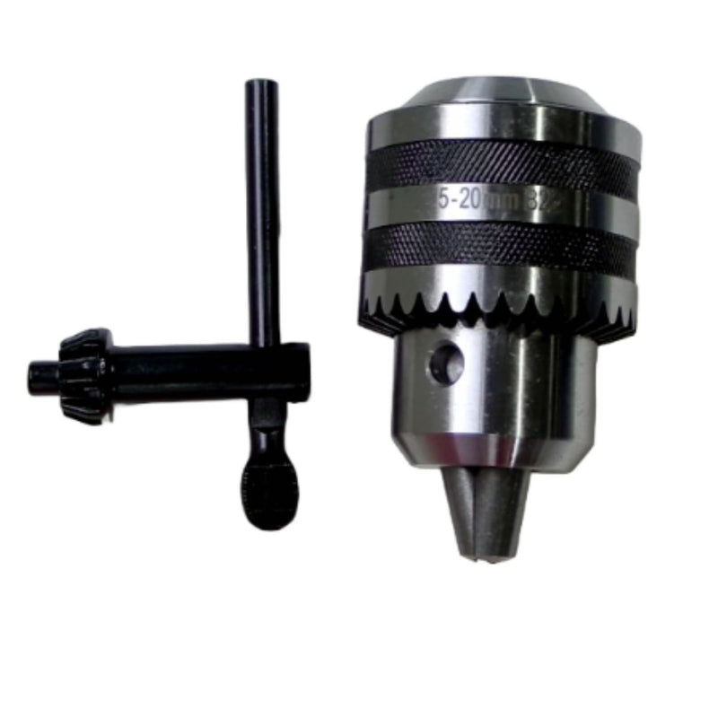 Mandril (DD00009311)