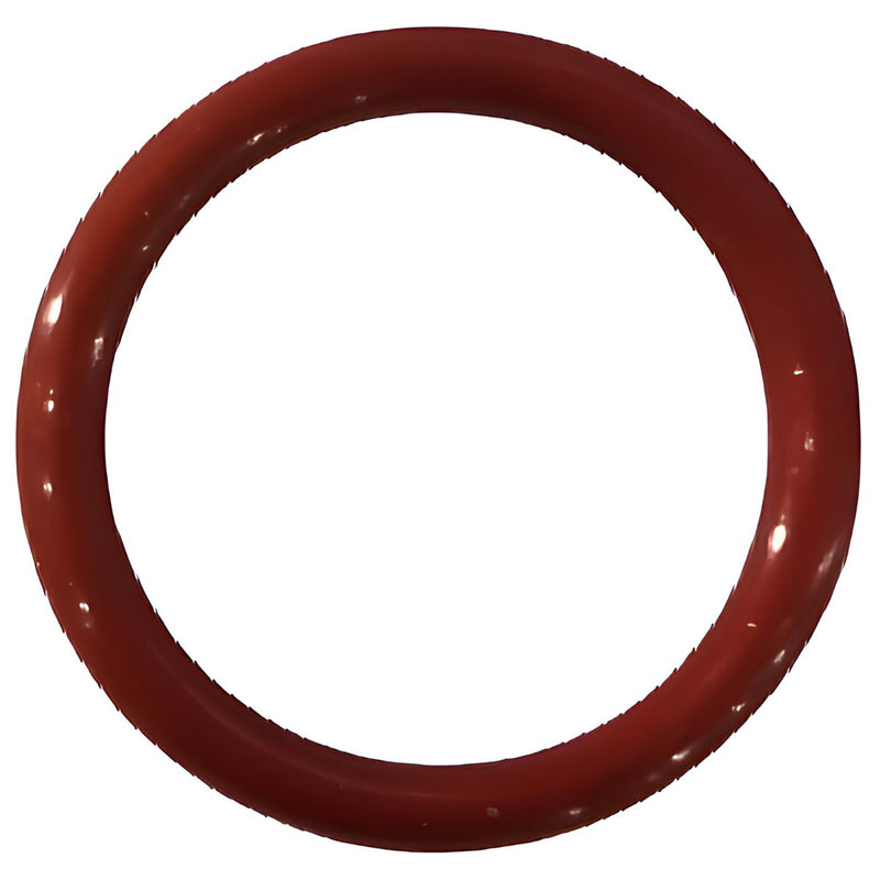 Anillo de soporte O φ53x7 (AA021001199)