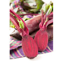 Semillas de remolacha, Cylindra (100% Heirloom/No Híbrido/No GMO). 20 semillas aproximadamente.