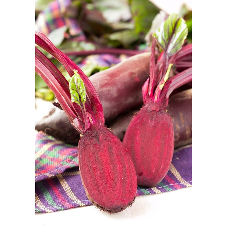 Semillas de remolacha, Cylindra (100% Heirloom/No Híbrido/No GMO). 20 semillas aproximadamente.
