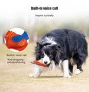 Juguete frisbee Lets fly pato para mascota