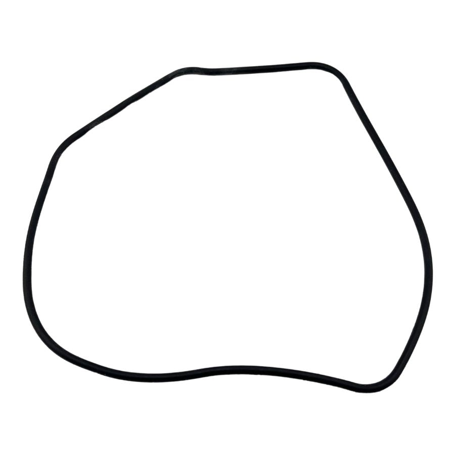 CYLINDER HEAD COVER O RING  (BLOG 150)