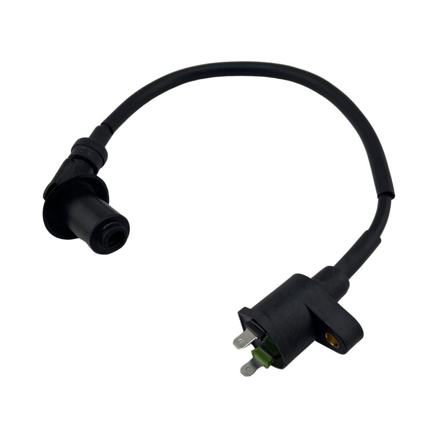 IGNITION COIL ASSY  (BLOG 150)