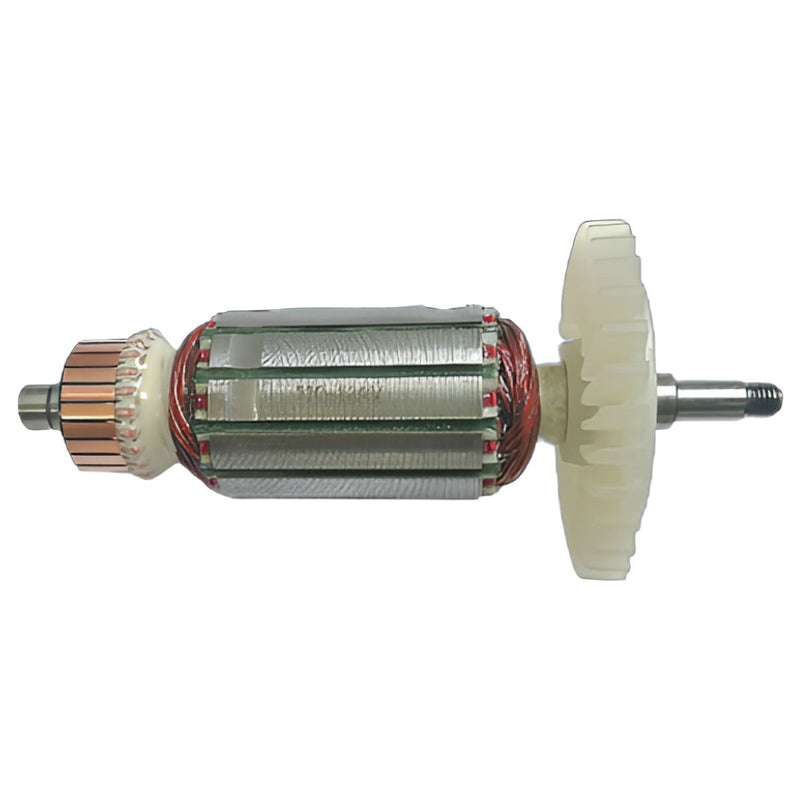 Rotor (DD00010650)