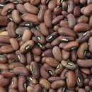 Semillas de esparragos, 1 yarda de largo aprox. (100% Heirloom/No Híbrido/No GMO) 15 semillas aprox.