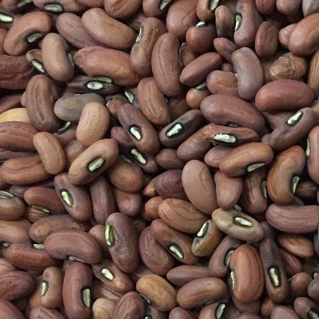 Semillas de esparragos, 1 yarda de largo aprox. (100% Heirloom/No Híbrido/No GMO) 15 semillas aprox.