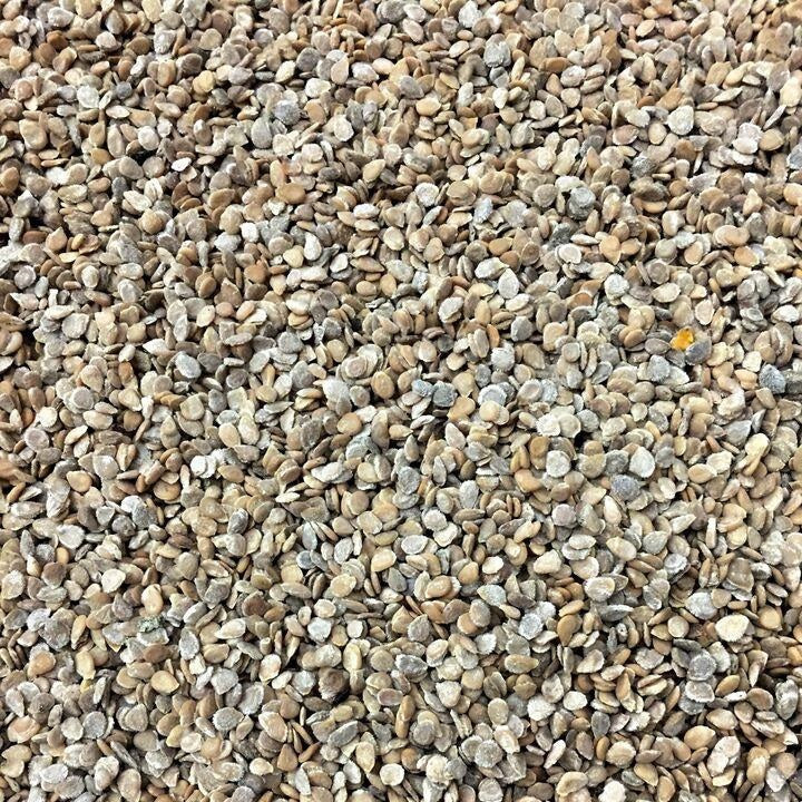 Semillas de tomate, Ace 55 (100% Heirloom/No Híbrido/No GMO). 15 semillas aproximadamente