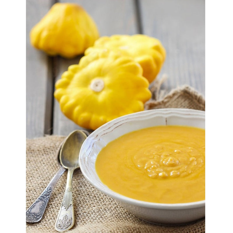 Semillas de zapallo, arbusto dorado de vieira (100% Heirloom/No Híbrido/No GMO). 10 semillas aprox.