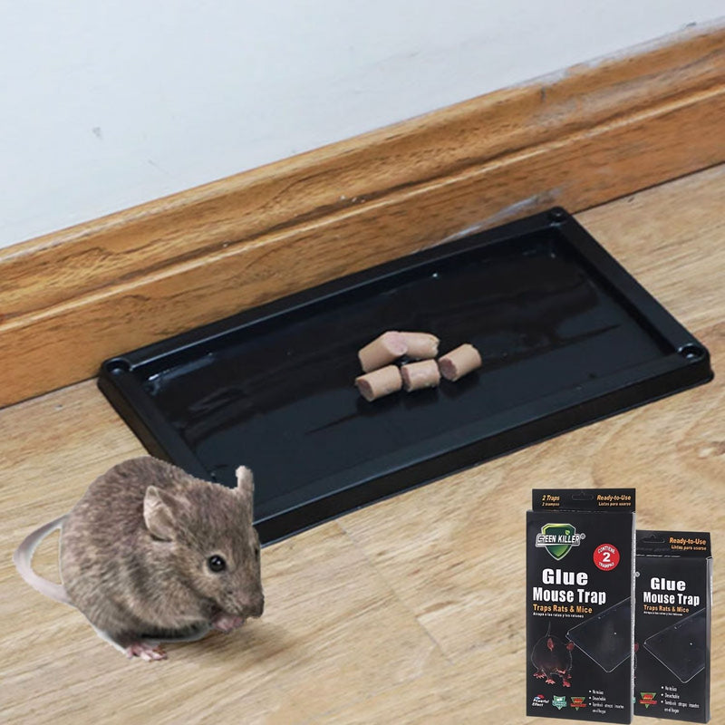 Trampa para ratones con pegamento 25x13cm Caja negra plástica con 0.3% Fipronil lista para usar. Pegatina para cocina