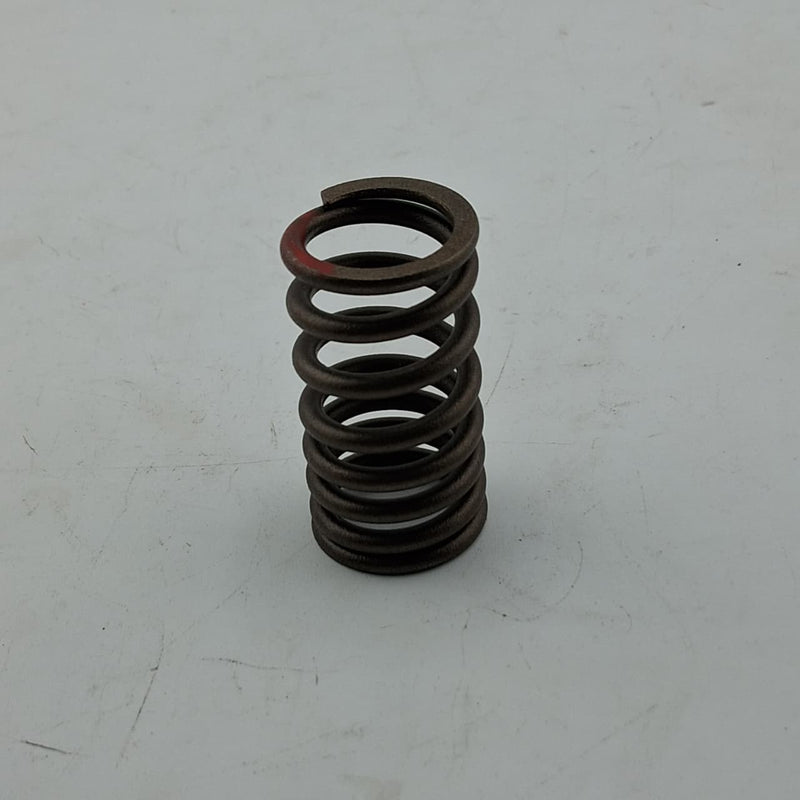 Resorte de valvulas (TNT150I) VALVE SPRING
