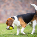 Pelota Duroflex Amarilla Gris M Para Mascota