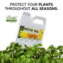 Aceite de Neem Puro 100% Orgánico para plantas, prensando en frio. 16 Oz.