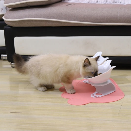 Tazón doble para gatos con soporte. Plástico transparente y soporte blanco.