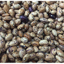 Semillas de frijol Bush, Borlotti Cranberry (100% Heirloom/No Híbrido/No GMO). 20 semillas aprox.