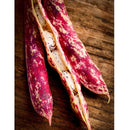 Semillas de frijol Bush, Borlotti Cranberry (100% Heirloom/No Híbrido/No GMO). 20 semillas aprox.