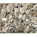 Semillas de zapallo, Caveman’s Club (100% Heirloom/No Híbrido/No GMO). 5 semillas aproximadamente.