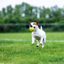 Pelota Breezy amarilla 2 unidades para mascota