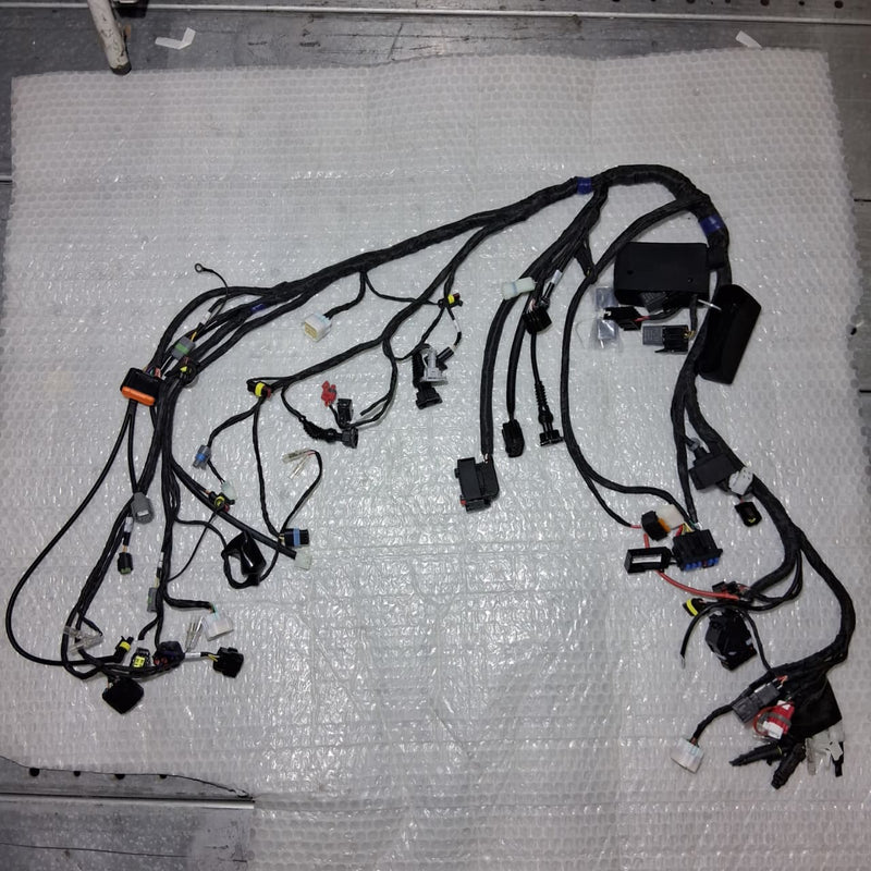 Arnes de cableado electrico (TRK502XMY2020)