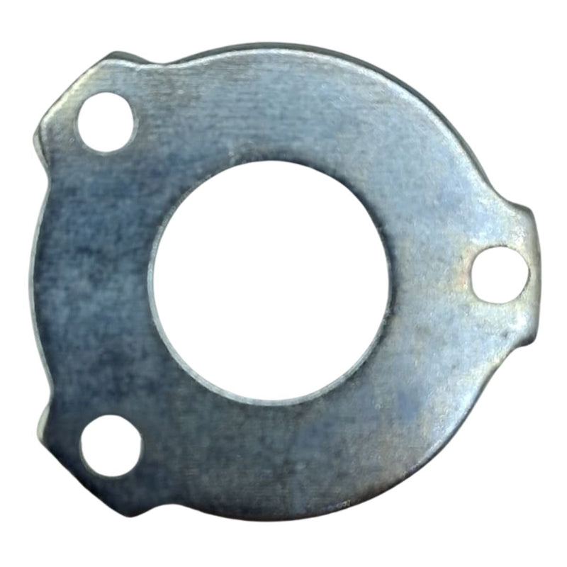 Placa de Rodamiento (AA043000053)