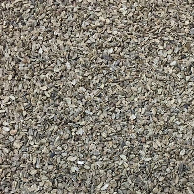 Semillas de zanahoria, Chantenay (100% Heirloom/No Híbrido/No GMO). 120 semillas aproximadamente.