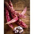 Semillas de frijol Bush, Borlotti Cranberry (100% Heirloom/No Híbrido/No GMO). 20 semillas aprox.