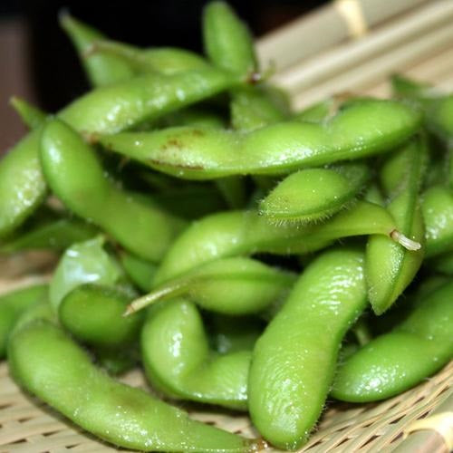 Semillas de frijol de soja Edamame (100% Heirloom/No Híbrido/No GMO). 10 semillas aproximadamente.