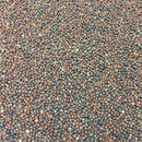 Semillas de kale (100% Heirloom/No Híbrido/No GMO). 55 semillas aproximadamente.