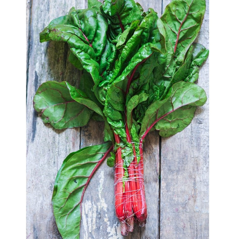 Semillas de acelga rosada Suiza (100% Heirloom/No Híbrido/No GMO). 25 semillas aproximadamente