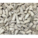 Semillas de zapallo de botella grande (100% Heirloom/No Híbrido/No GMO). 5 semillas aproximadamente.