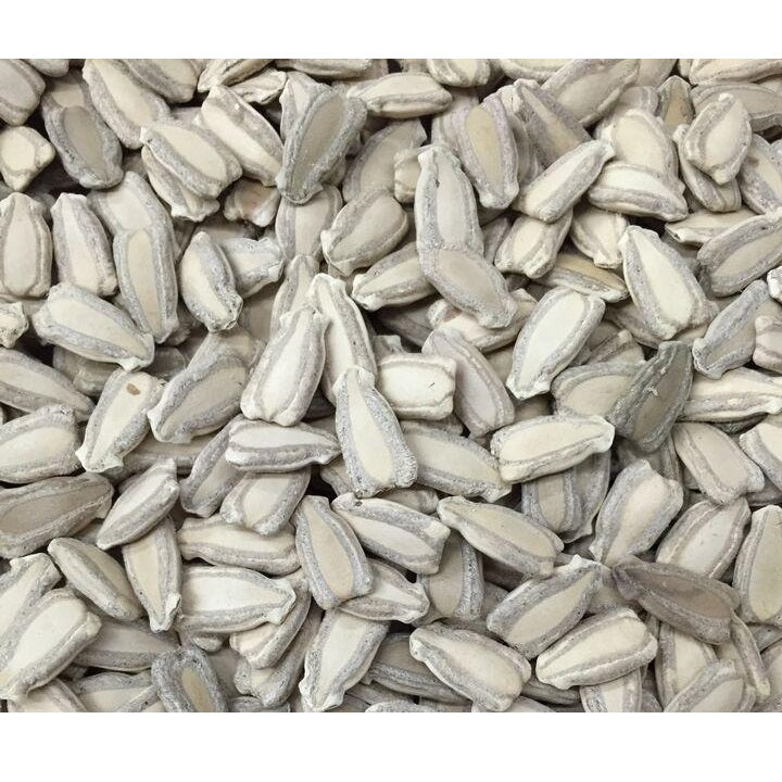 Semillas de zapallo de botella grande (100% Heirloom/No Híbrido/No GMO). 5 semillas aproximadamente.