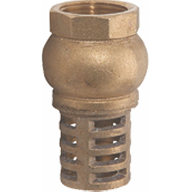 Válvula de pie 2" con canastilla de bronce