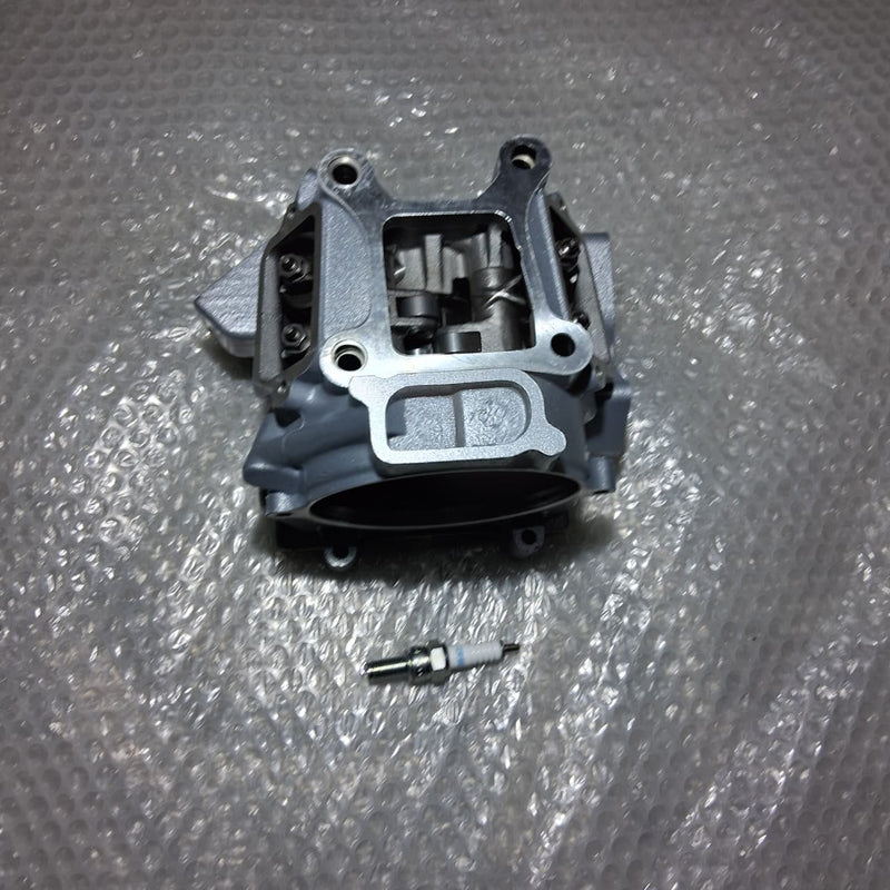 Cabeza de cilindro (ZAFFERANO250)