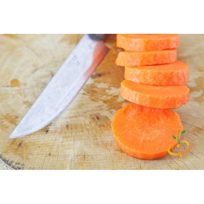 Semillas de zanahoria, Chantenay (100% Heirloom/No Híbrido/No GMO). 120 semillas aproximadamente.