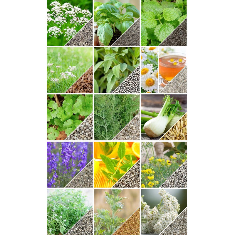 Semillas surtidas de hierbas medicinales. Incluye 15 variedades