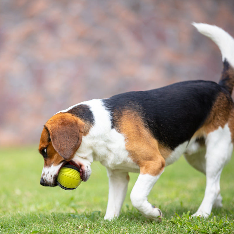 Pelota Duroflex amarilla gris M para mascota