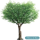 Árbol Banyan Simulado Decorativo de 3 Metros De Alta Densidad y Gran Realismo. Árbol Artificial Para decoración de Oficina Y Eventos. Planta