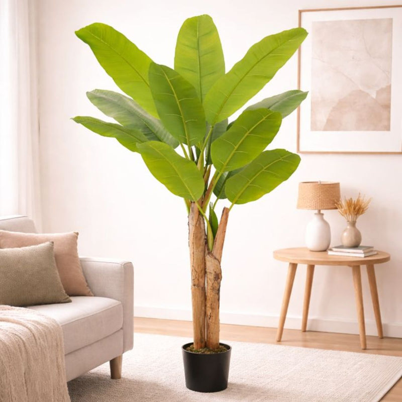 Planta de Plátano Artificial Decorativo para Interior. Árbol Platanero Artificial para Interiores 170 cm.