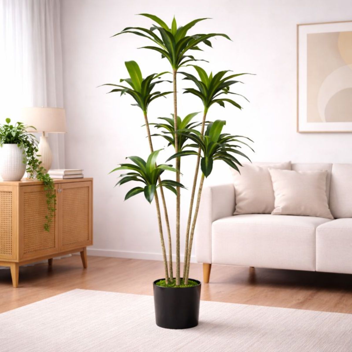 Planta tipo Dracaena Decorativo para Interior. Árbol Realista con Altura de 180cm.