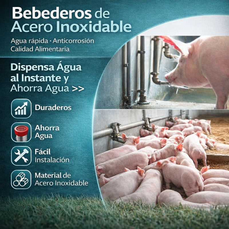 Bebedero Automático para Cerdos de Acero Inoxidable. Válvula boquilla Tipo Pico de Pato con Filtro Y Salida de Agua 360° Antifugas y Ahorro de Agua