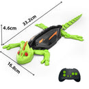 Juguete Lagarto Trepador con Control Remoto Que Escala Paredes y Suelos Con Luces LED.  Lagartija Recargable para Niños.
